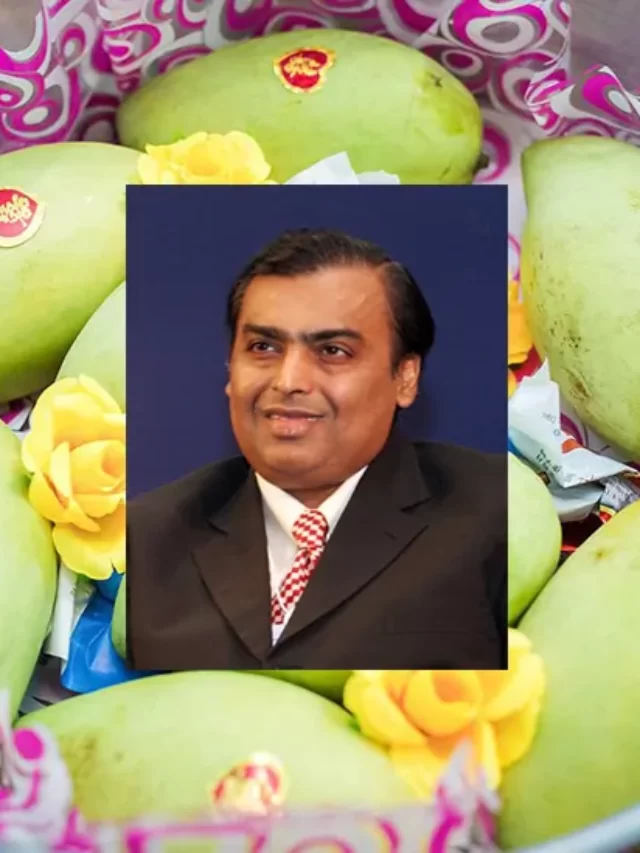cropped-Mango-business-of-reliance.webp