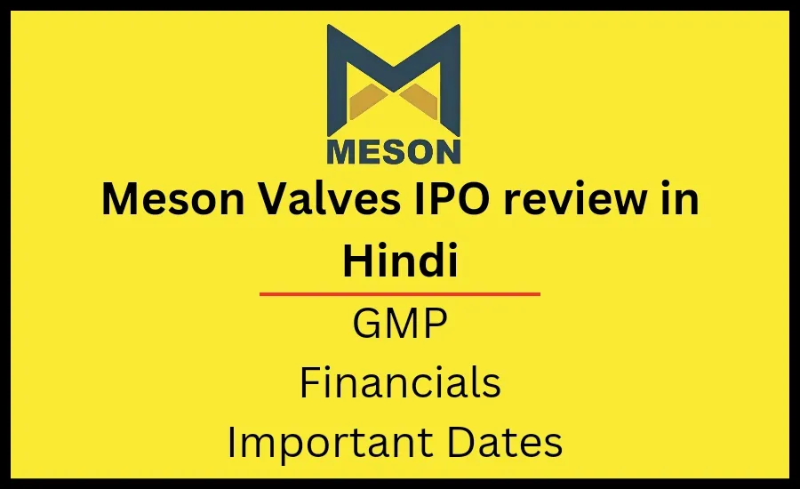 Meson Valves IPO review in Hindi