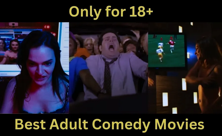 best adult comedy movies only for 18+